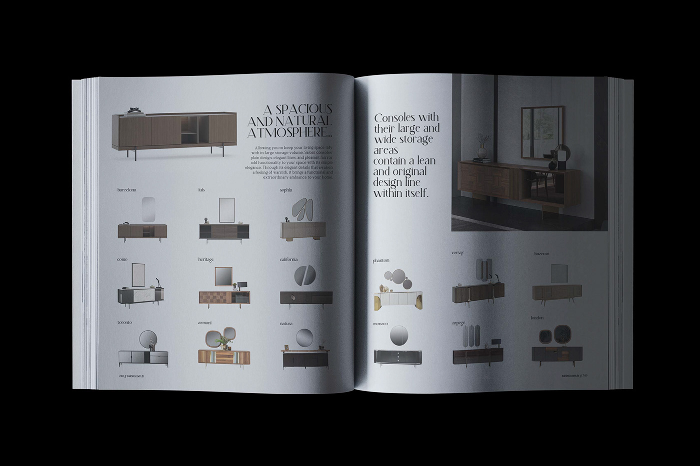 book Brand Design catalog furniture graphic design  hardcover identity sofa typography  