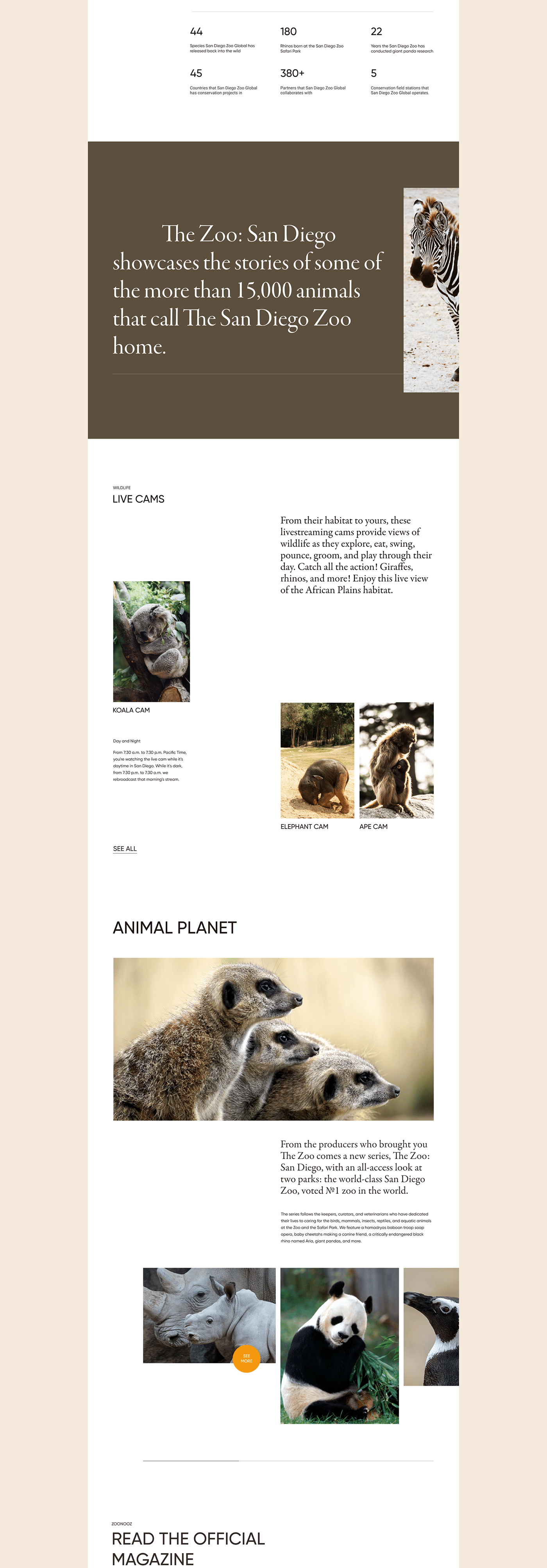 concept redesign San Diego zoo concept UI ux ux/ui ux/ui design Web Design  Website