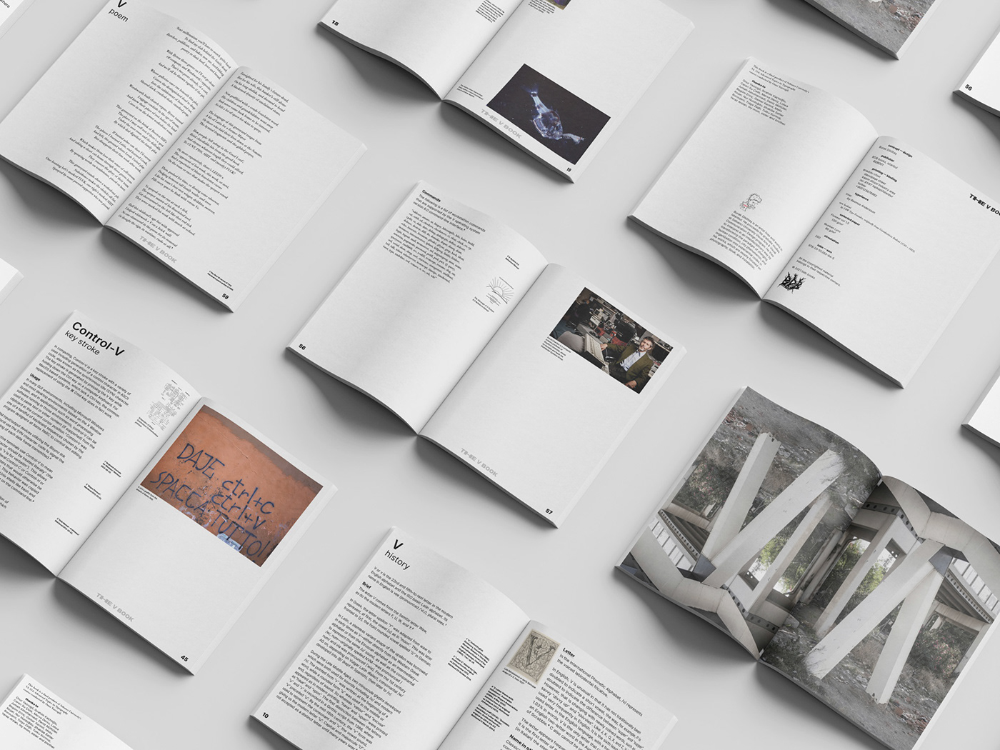 book book design editorial design  graphic design  grid Layout Design print design  typography  