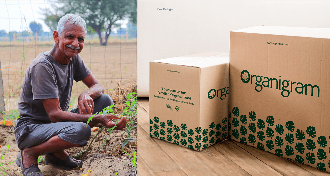 organic natural brand strategy packaging design brand identity Brand Design logo branding  Health eco friendly
