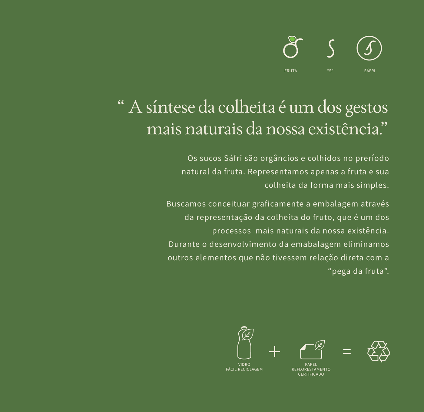 embalagem suco design Ilustração Garrafa bottle packing Label rótulo