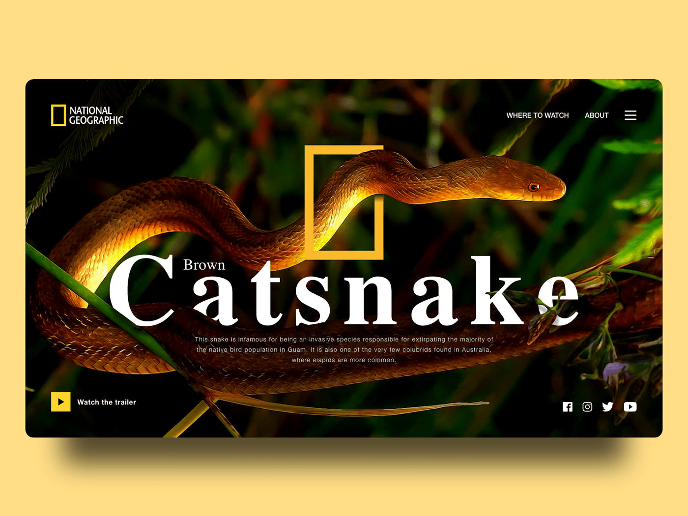 design geographic landingpage national snakes UI webpage Website