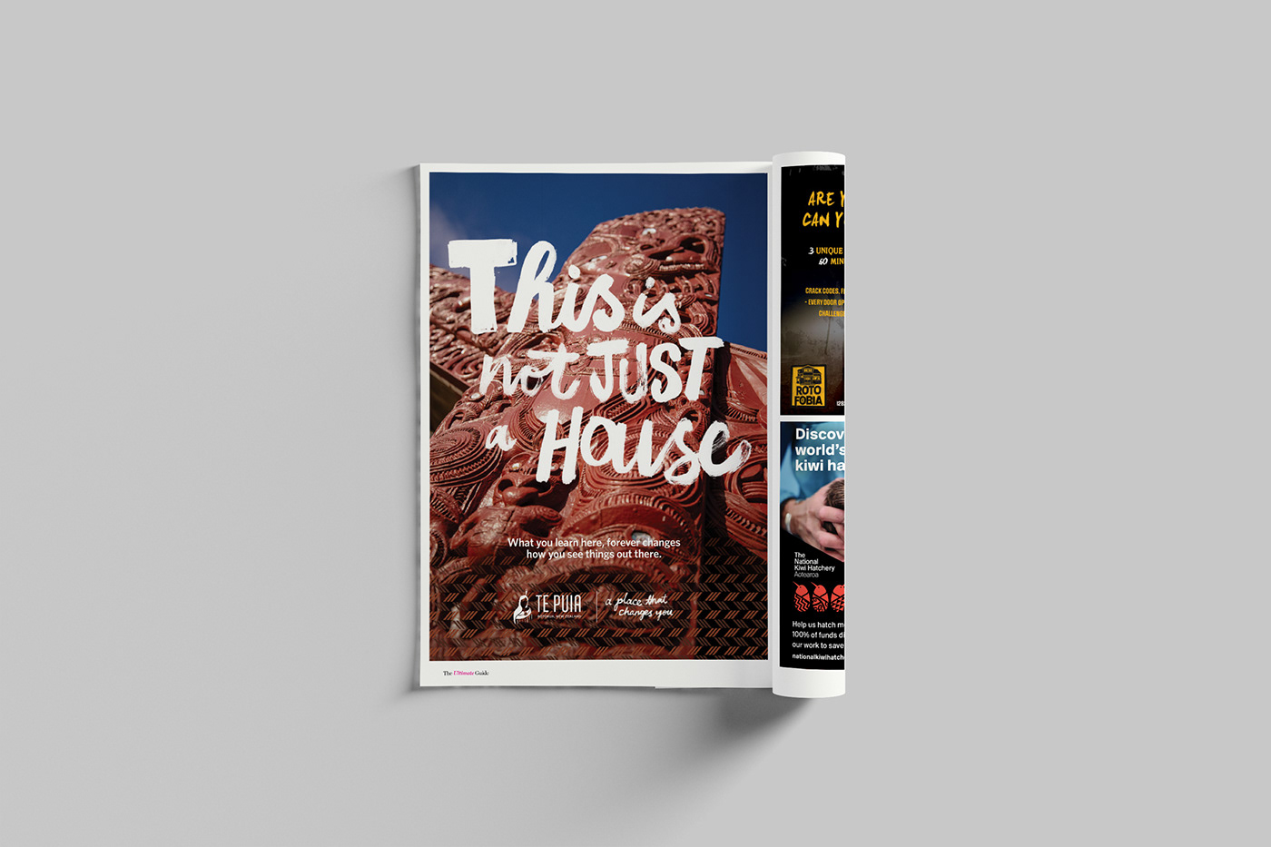 graphic design  Layout Design magazine Magazine design magazine layout New Zealand print print design  Rotorua tourism