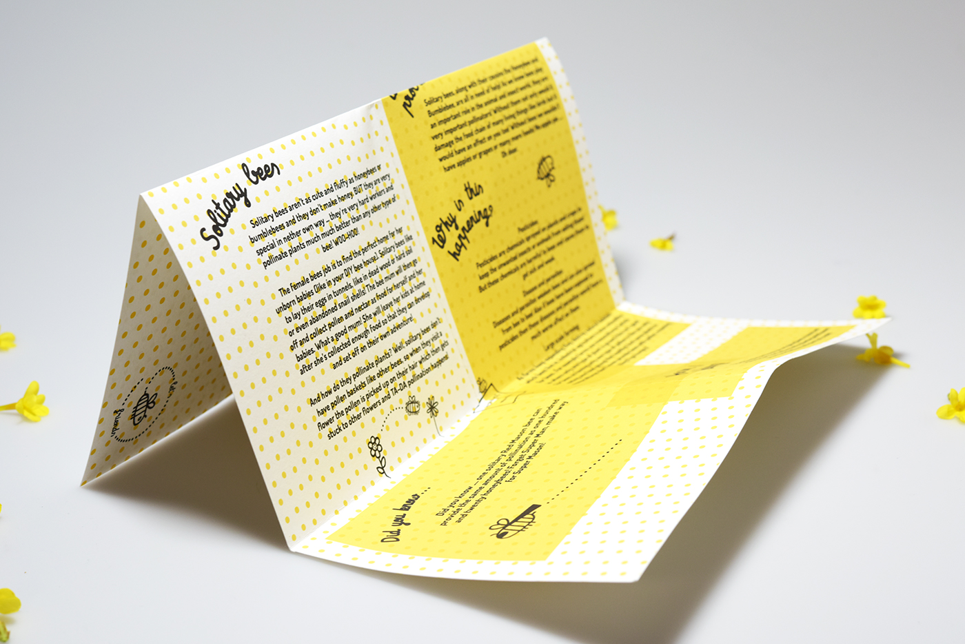 animation  bee kit bees childrens packaging ILLUSTRATION  logo Packaging product design  typography  