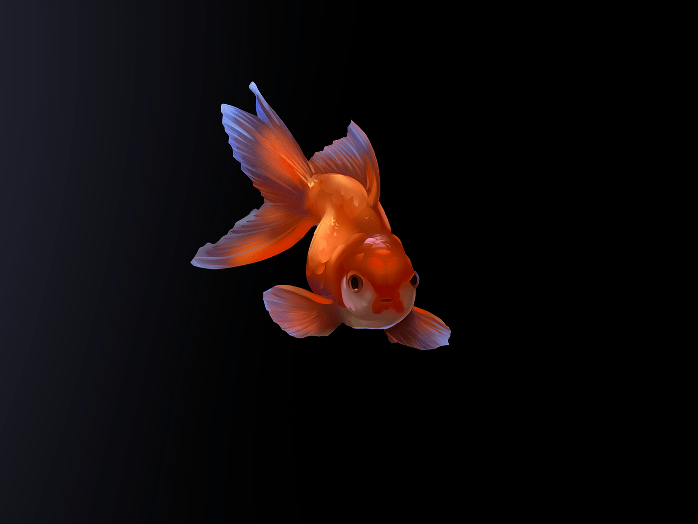 animal Digital Art  fish goldfish ILLUSTRATION  Nature Ocean sketch water