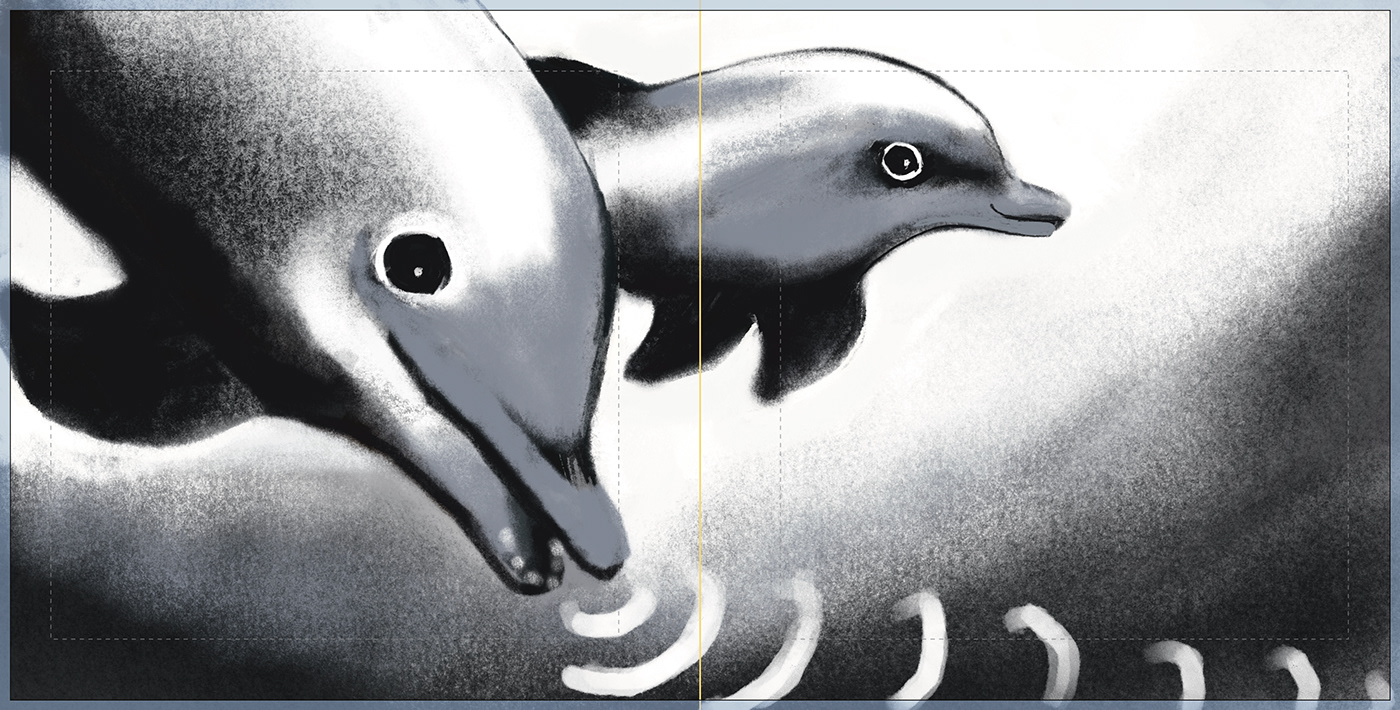 sketch Drawing  digital illustration animals charcoal charcoaldrawing Ocean birds Dolphins Nature