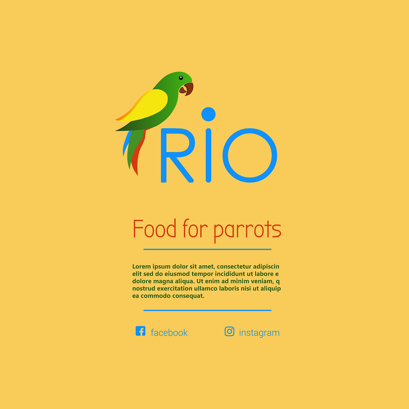bird animal parrots vector Logo Design marketing   Brand Design adobe illustrator Food 
