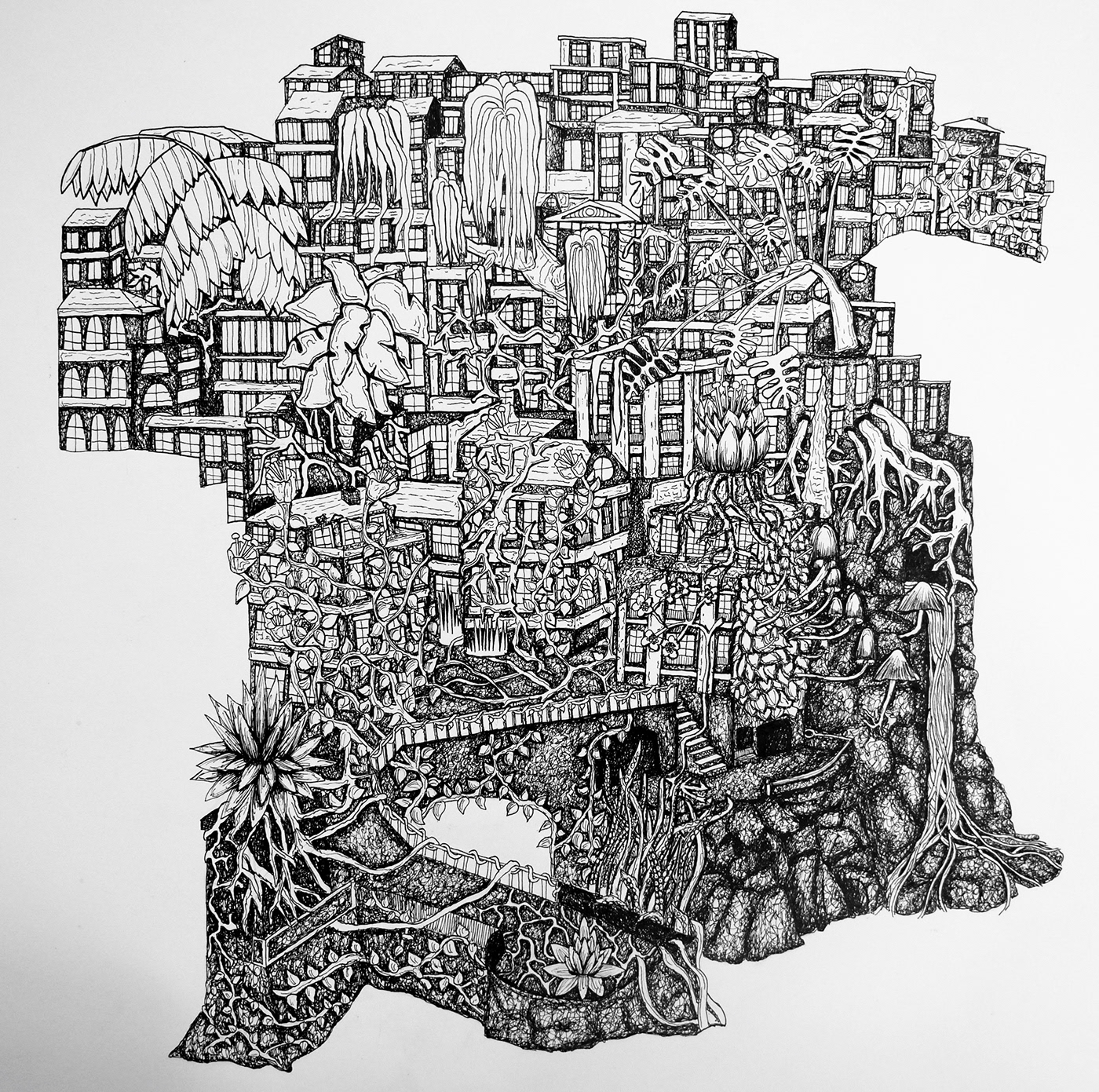 fineliner Italy Cinque Terre Mediterrean black and white Drawing  Nature plants architecture
