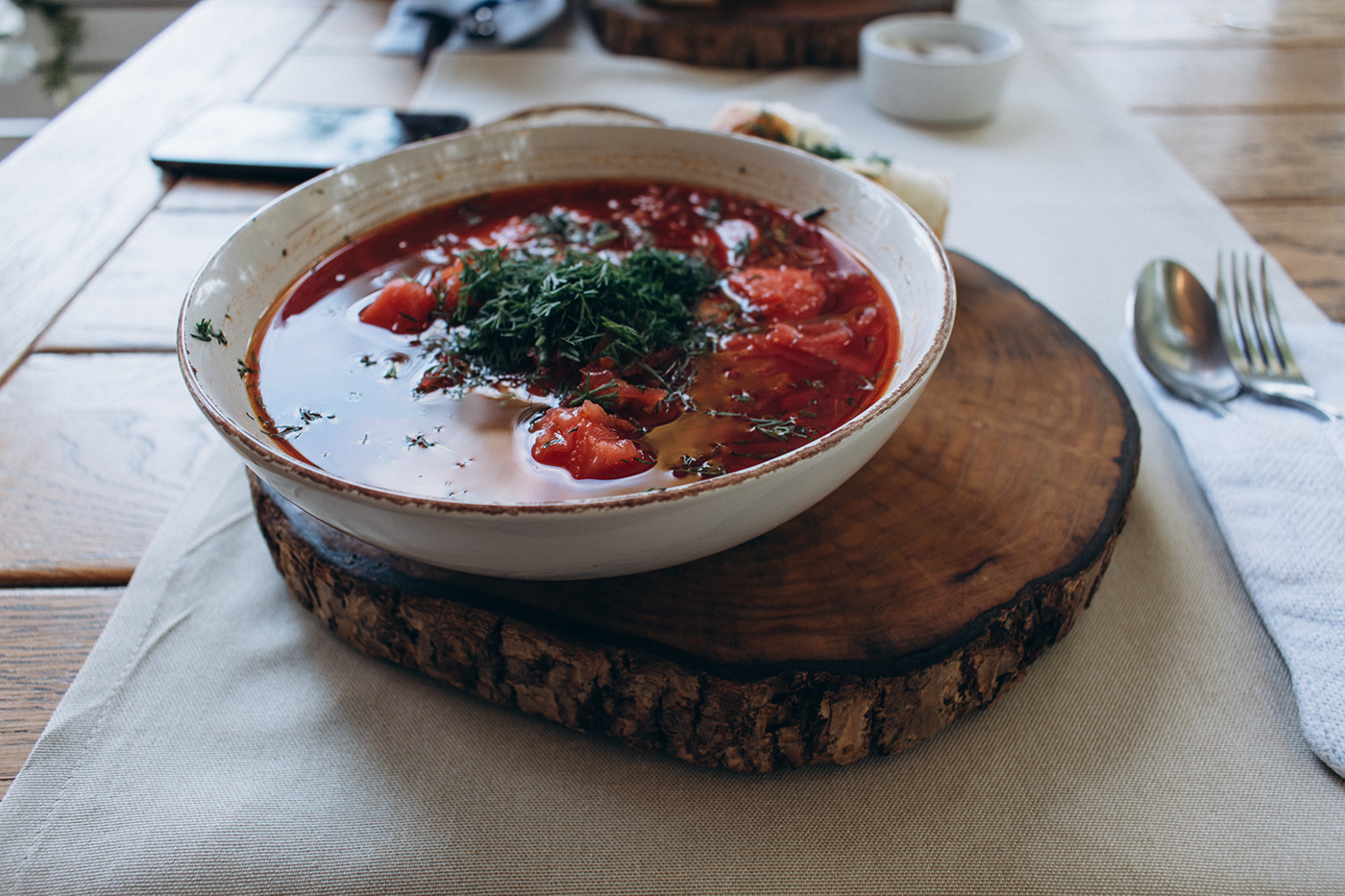 food photography restaurant Food  Ukrainian borscht