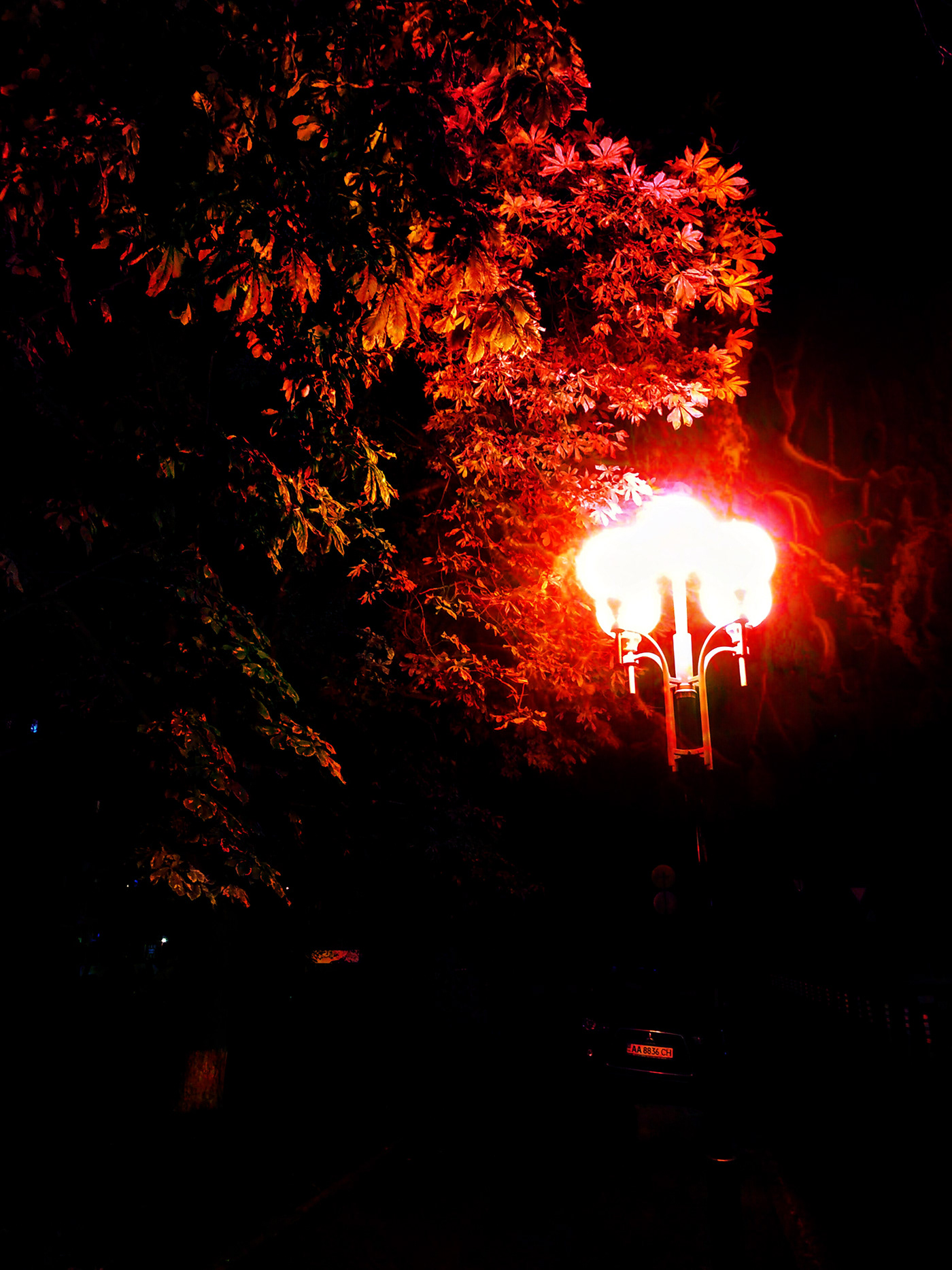 Autumn Decorations Evening kiev light photo