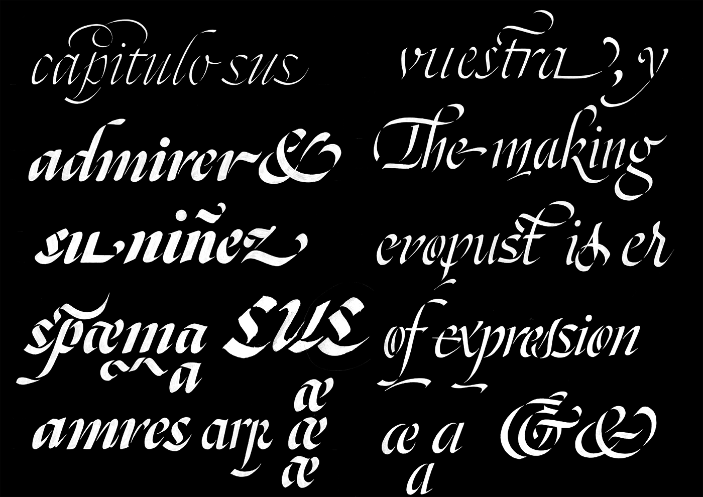 Typeface font stencil Calligraphy   broadnib type design flourishes alternates palomares baroque