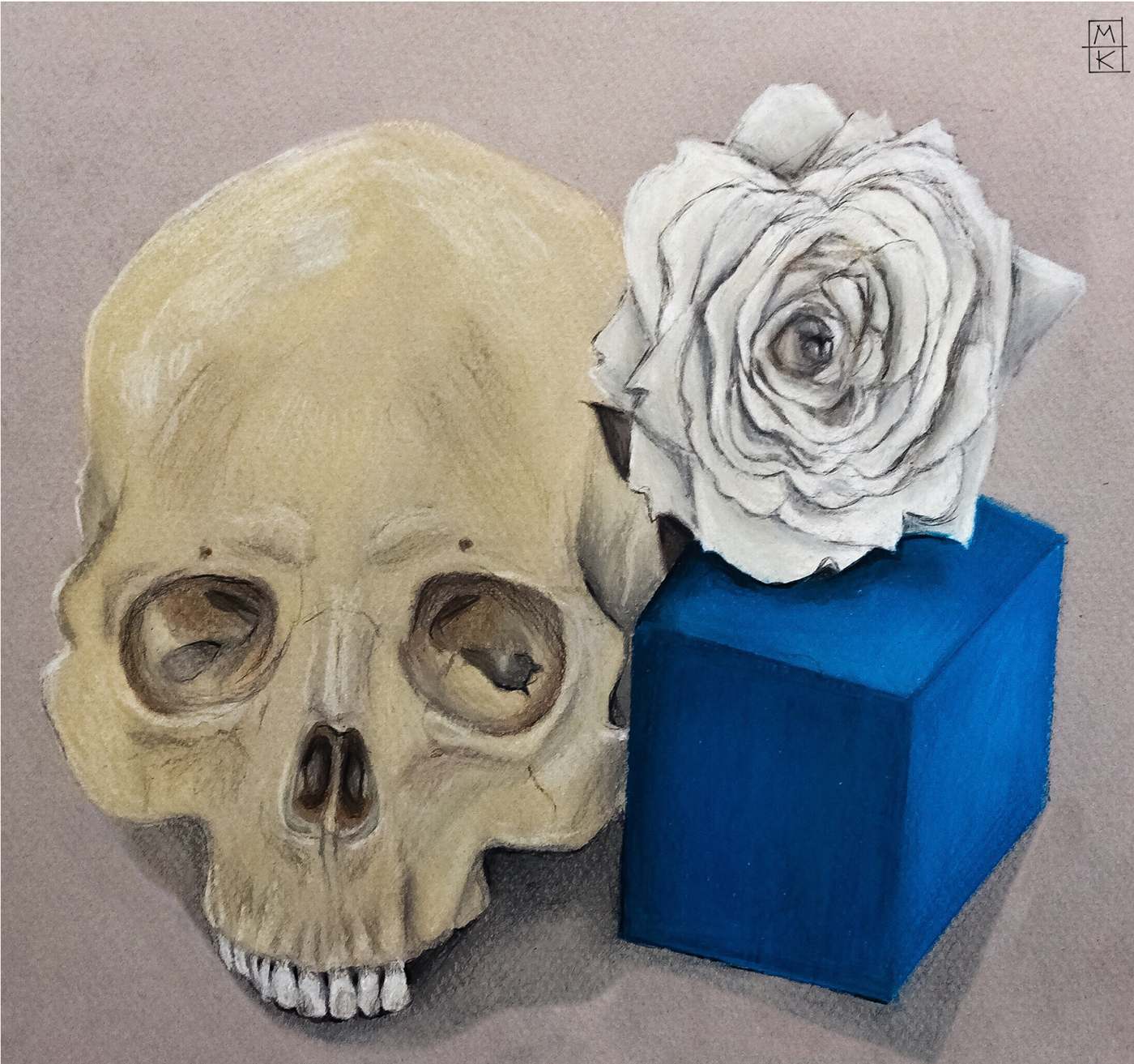 still life colored pencil skull rose cube blue