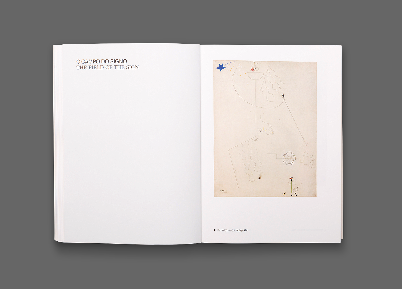 catalog book editorial non-verbal Serralves Museum of contemporary art book design