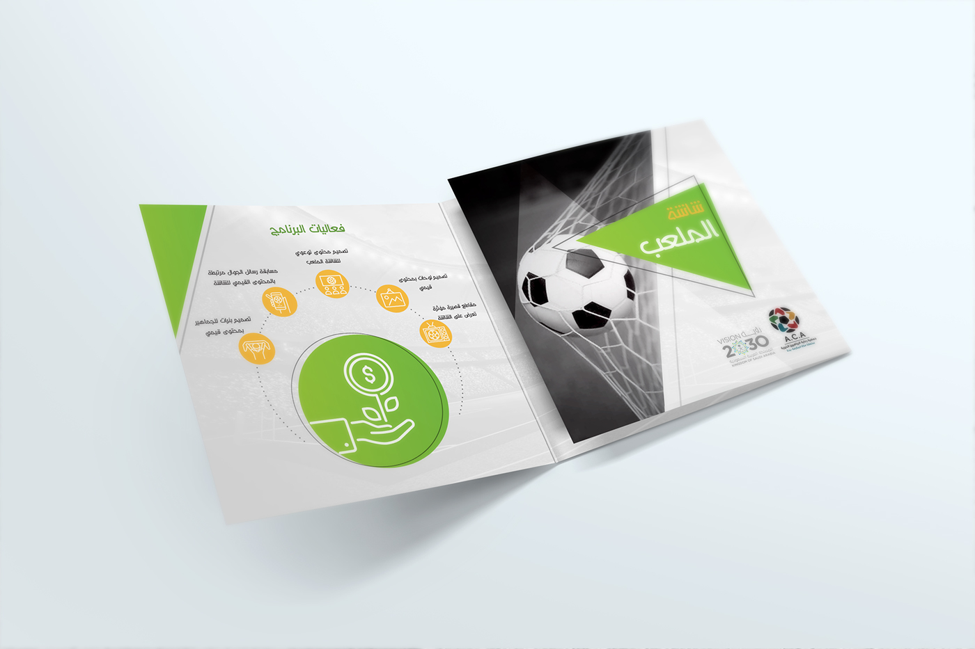 graphic design  trifold print design brochure leaflet