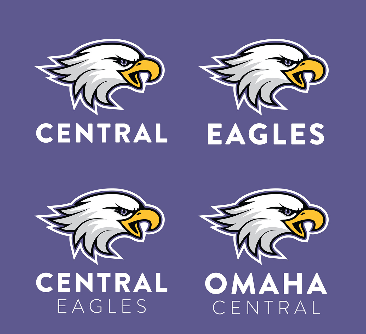 branding  athletic logo eagle logo Modern Logo High School Logo college logo eagle swimming logo Clean Design Sports logo