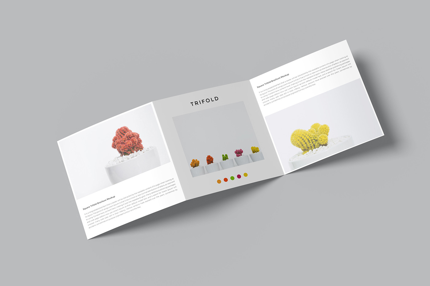 3D brochure design document graphic Mockup presentation print square trifold