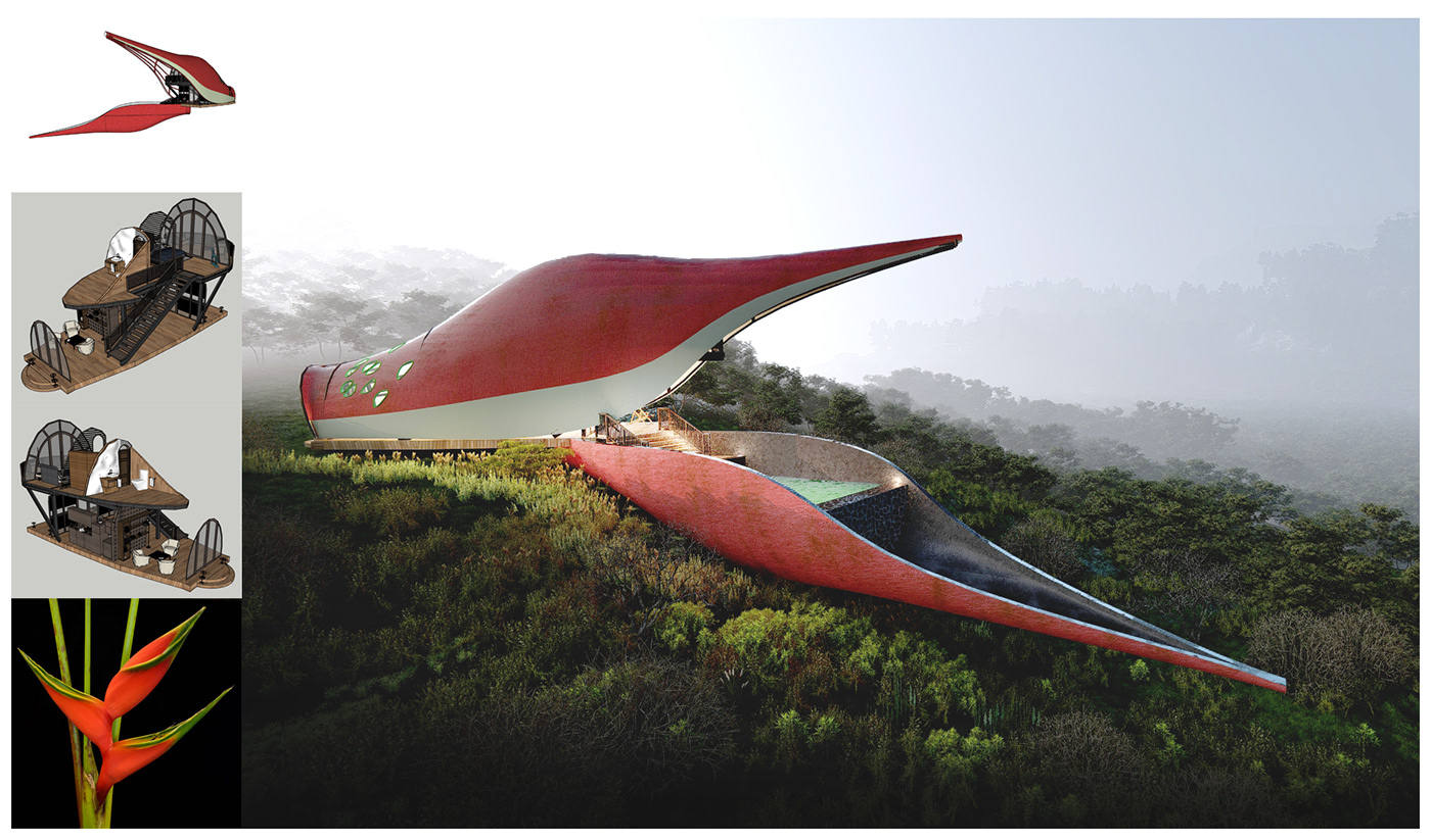 Architectural Concepts architecture Birds of Paradise concepts thilina liyanage