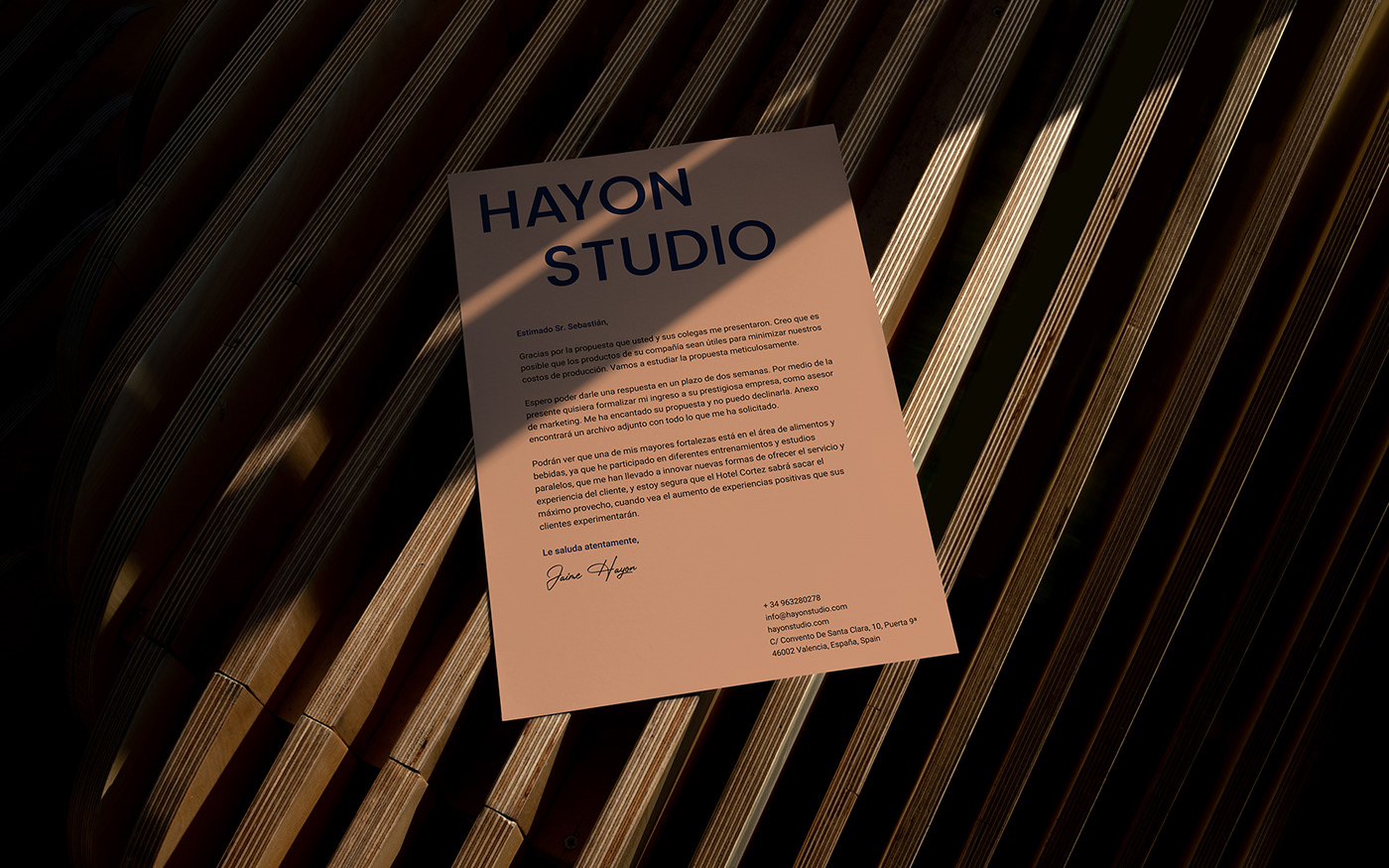 brand identity branding  Hayon Studio Jaime Hayon Spanish artist-designer user experience Web Design  Website visual identity ui ux