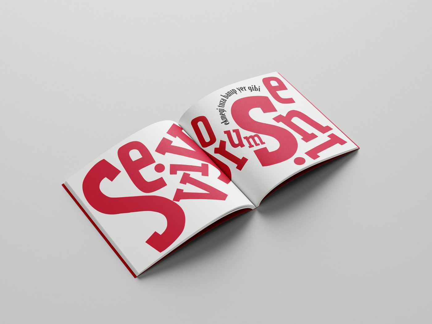 typography   graphic design  book design book cover