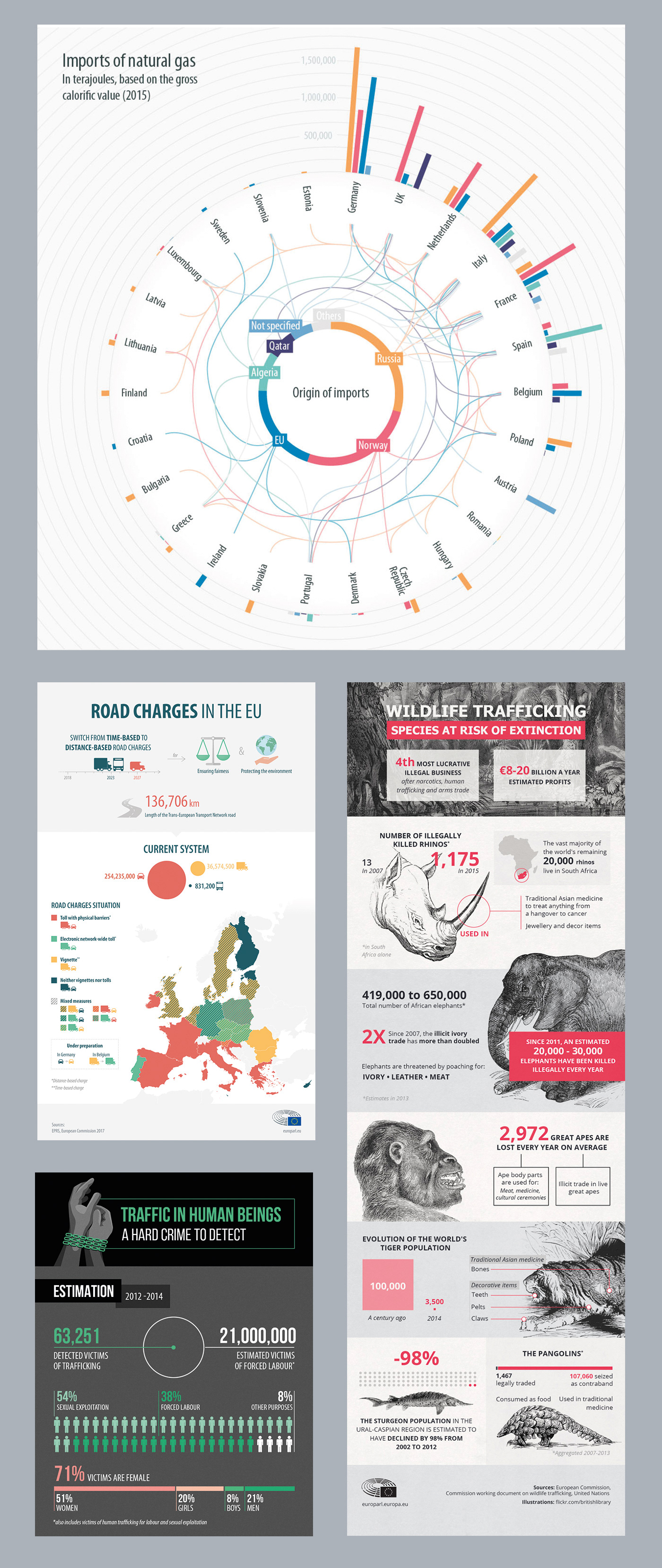 Infographie infographic EU Parlement vector vectoriel international women day animal data visualisation trafficking wildlife trafficking