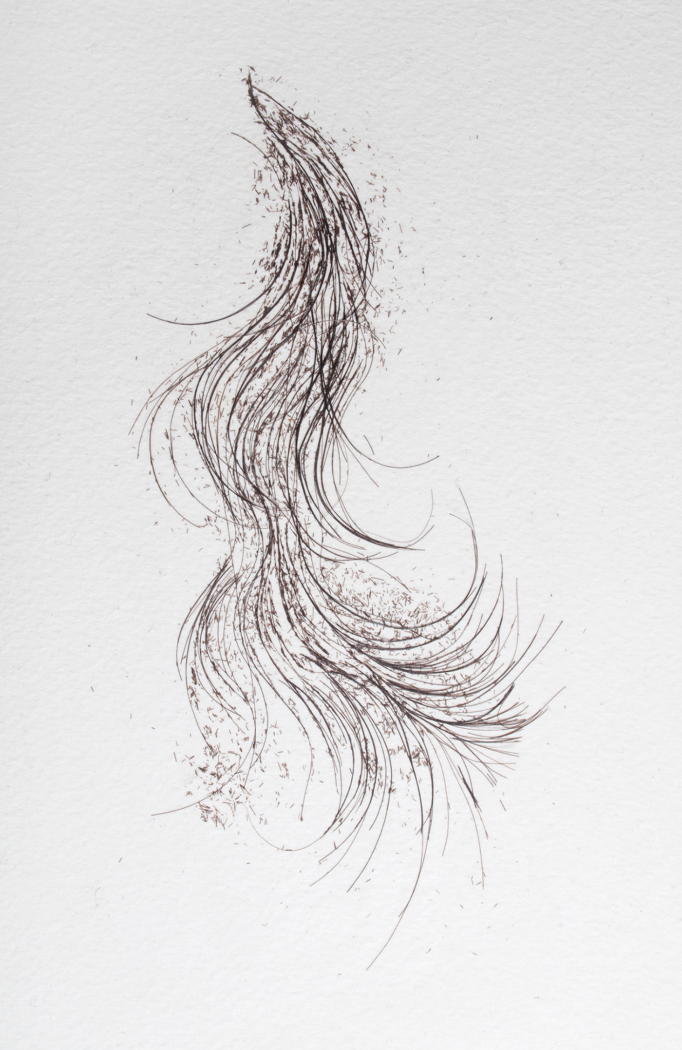 dibujo pelo Manual de dibujo manual mimesis cuerpo color Linea sombra cabello
