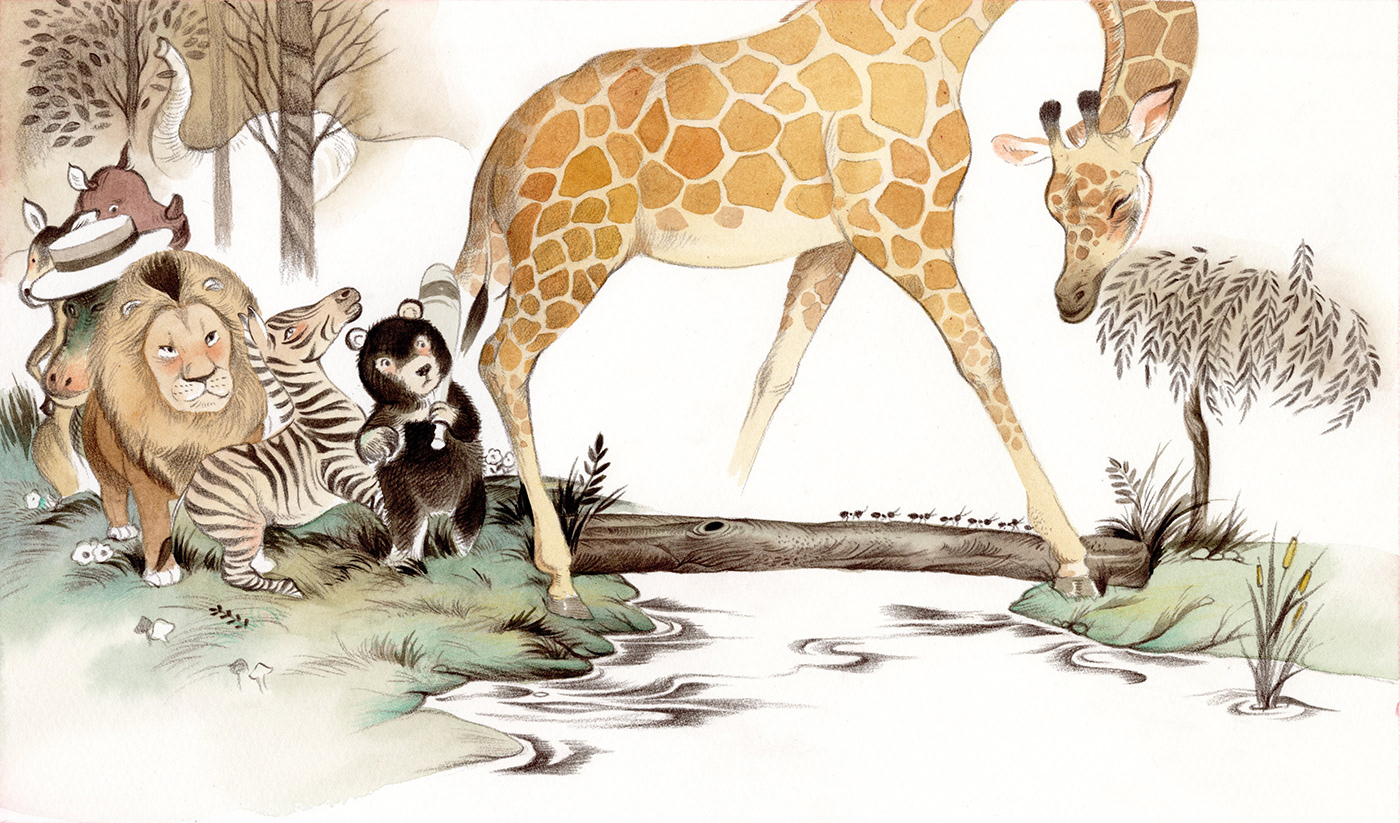 ILLUSTRATION  publishing   animals childrensbook watercolor picturebooks