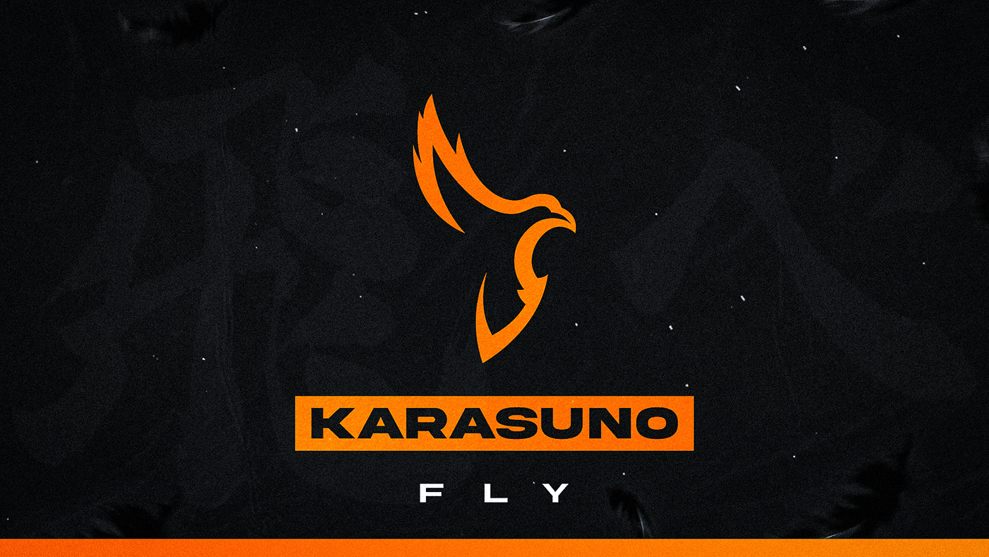 Karasuno is a professional Overwatch team competing in Overwatch Contenders...