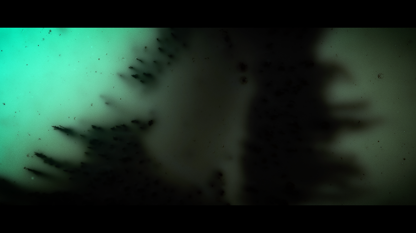 Space  abstract Liquid micro macro Nature Film   design motion nebula