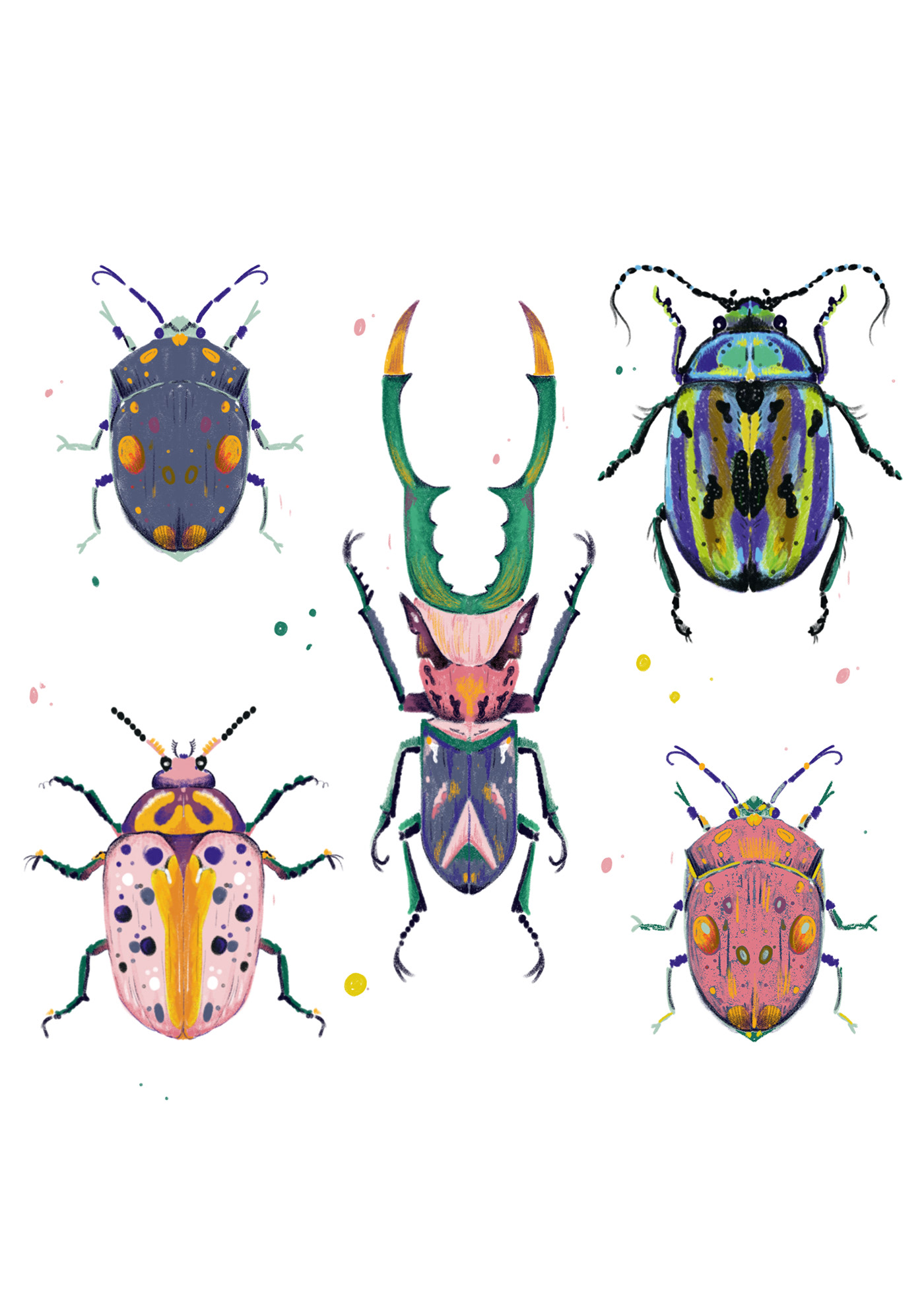 ILLUSTRATION  beetles animals adobefresco Drawing  illustrationart Carinalindmeier Illustrator NatureLover animalillustration