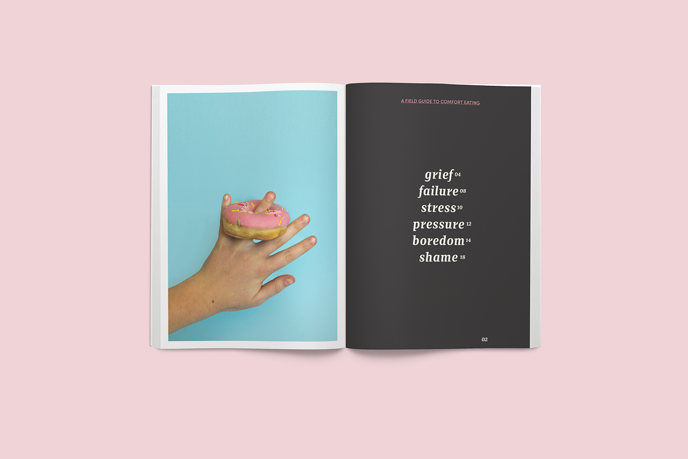 Food  Comfort Eating Photography  recipe book Zine  McDonalds Donuts field guide