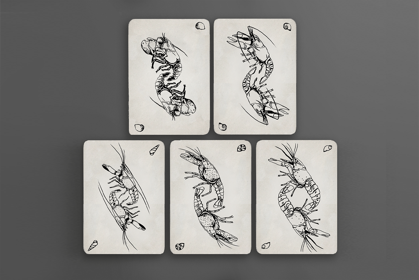 animals card design Crawfish crayfish lobster playcard playcarddesign