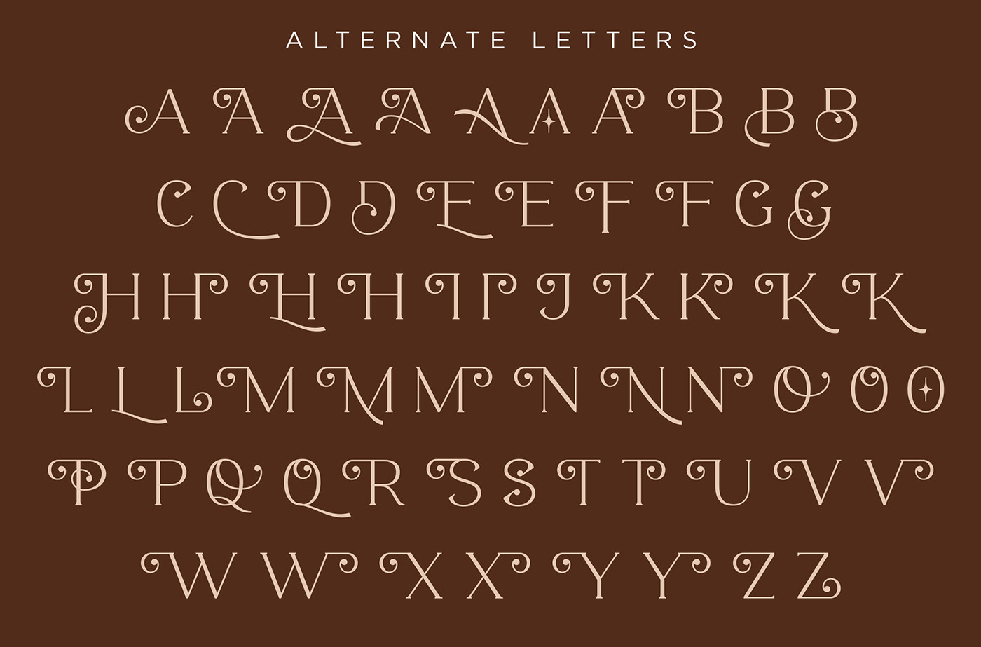 font fonts Typeface typography   logo branding  lettering elegant decorative Display