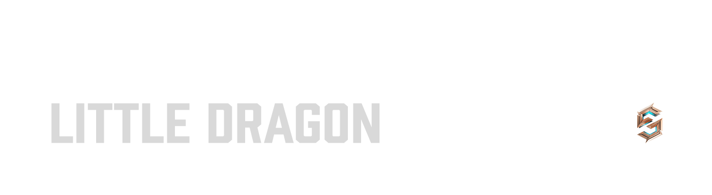 Lee dragon chinese Bruce