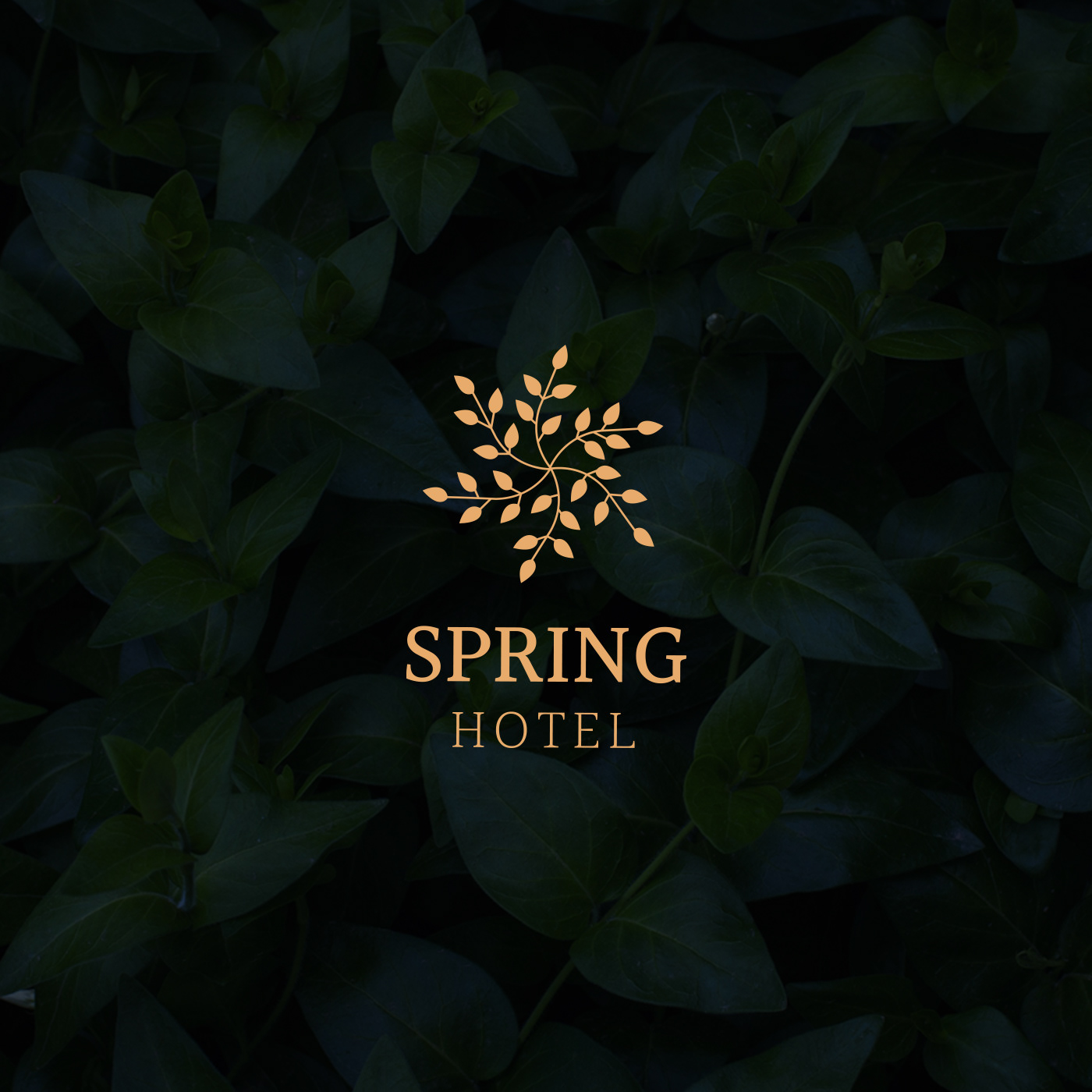 Branding Identity design graphic hotel ILLUSTRATION  logo mock up pattern presentation spring