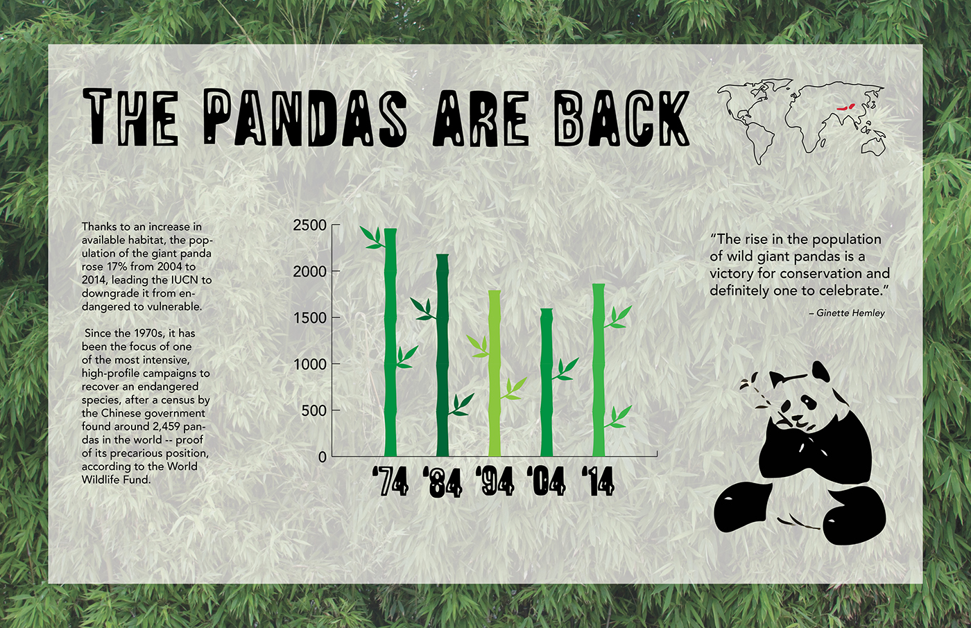 Informaton Design pandas extinct animals Panda  worldwide bambo WWF world wide fund