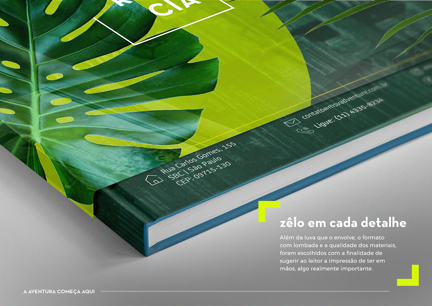 book brochure design editorial design  folder folder design magazine presentation visual identity
