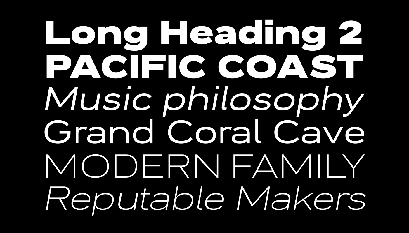 corporate font grotesque magazine Packaging sans Typeface variable versatile