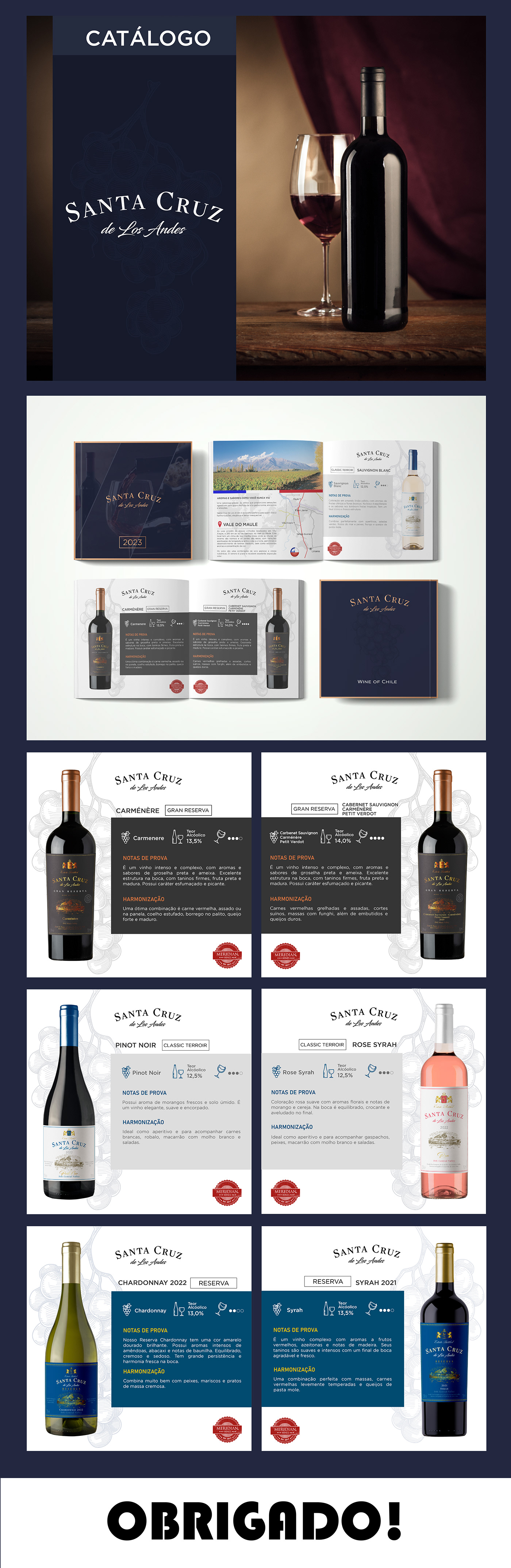 wine brand identity Graphic Designer visual identity marketing   designer catalogo editorial Layout editorial design 