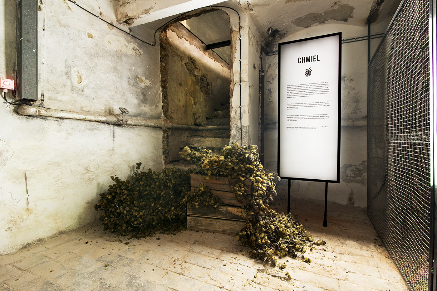 logo visual identity Exhibition  perła lublin flayer map Interior beer poster ticket museum public design graphic