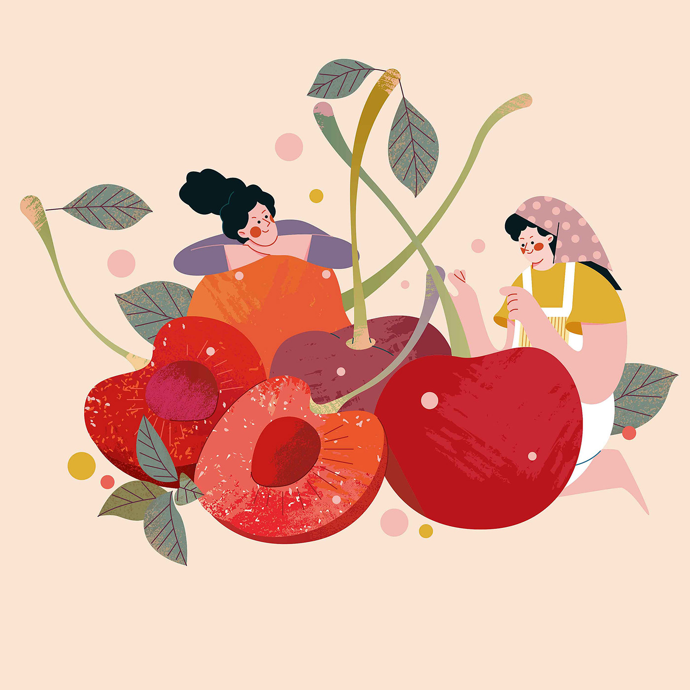 apple avocado cherry citrus Digital Art  Fruit ILLUSTRATION  packaging design passion fruit pomegranate