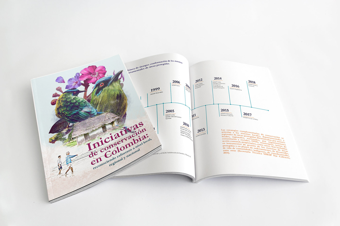 book design Diseño editorial editorial grafico libro