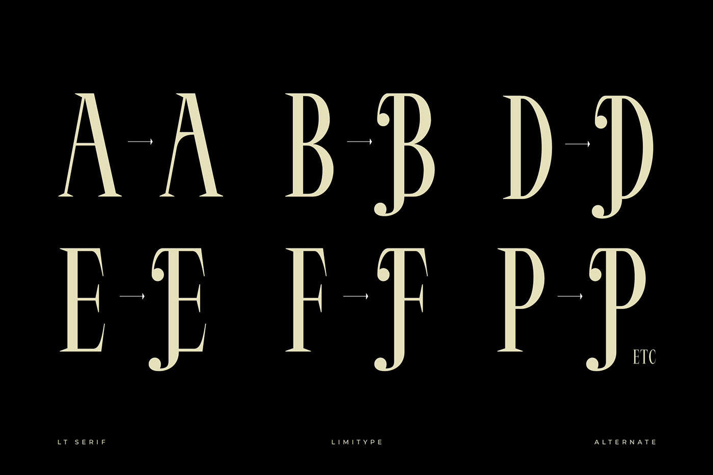 modern font Serif Font luxury font elegant font beauty font cosmetic font typography   brand identity branding  Free font