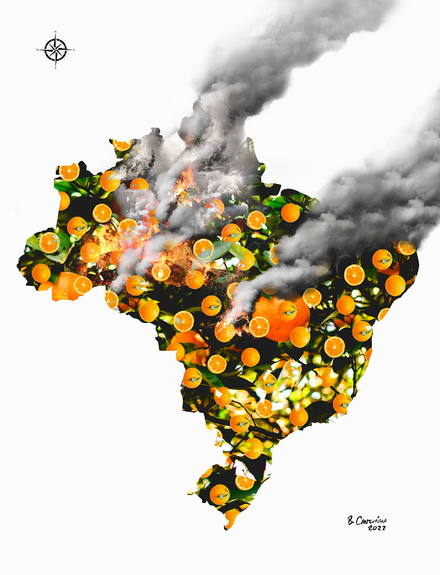 bolsonaro Brasil Brazil democracia laranja laranjal paulista LARANJAS laranjas podres photoshop queimadas