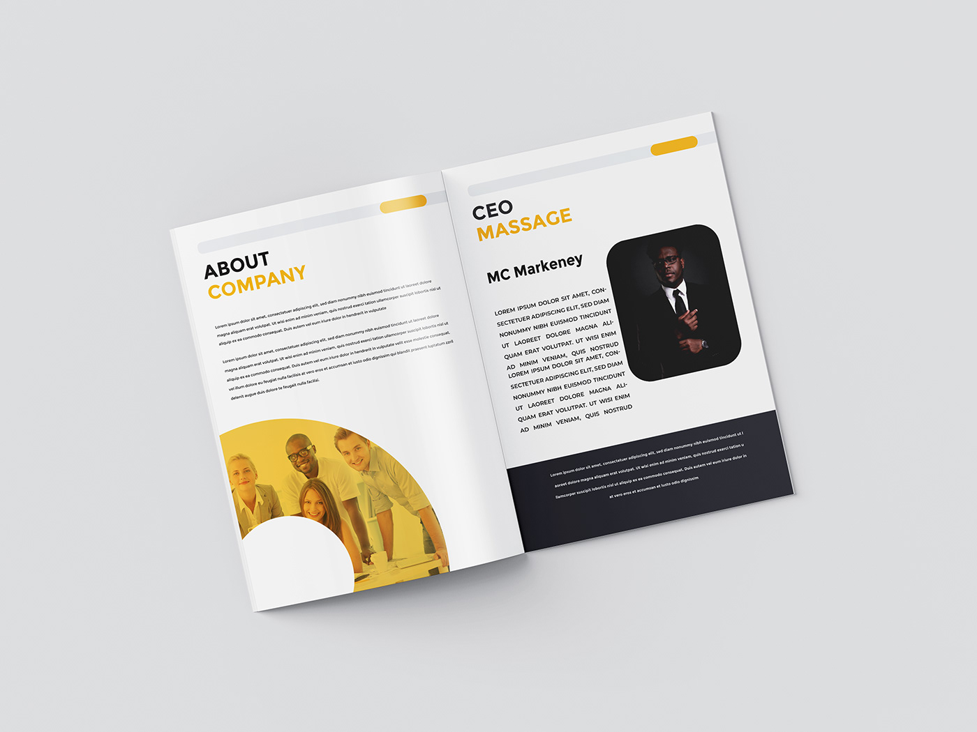 Booklet brochure brochure design catalog company company profile magazine profile annual report Proposal
