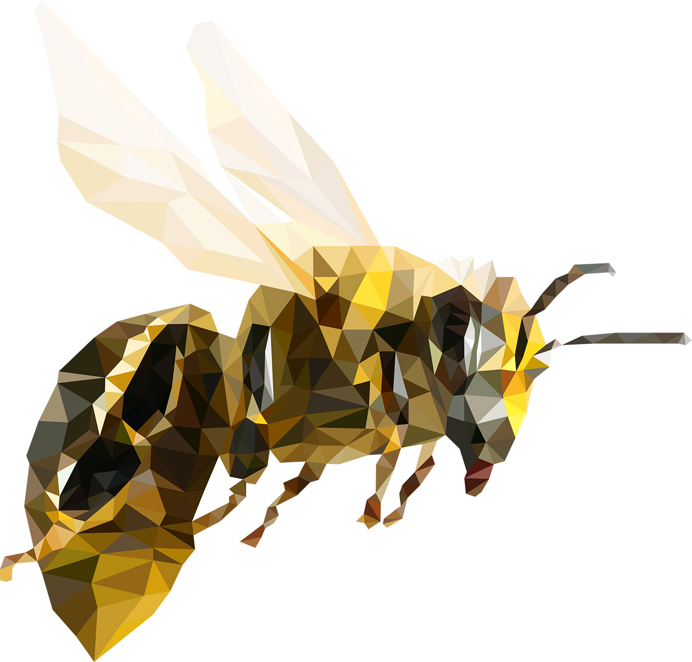 bee Polygons Low Poly geometric triangle natural Website modal box Bumble Bee