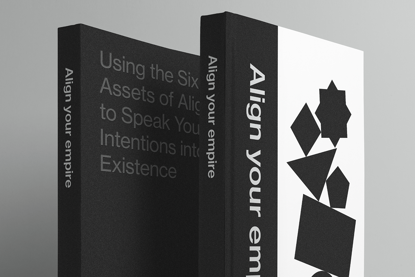 editorial inspiration Bookdesign branding  editorialdesign typography   visual identity identity minimal print
