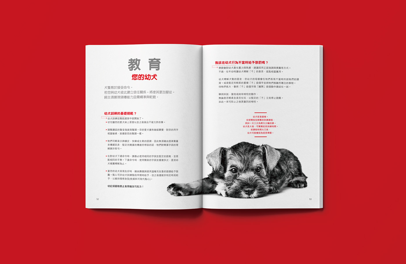 Layout brochure Pet taiwan design Graphic Designer
