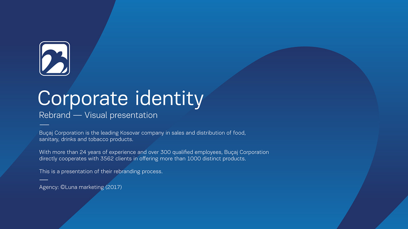 brand identity visual identity graphic design  Logo Design art direction 