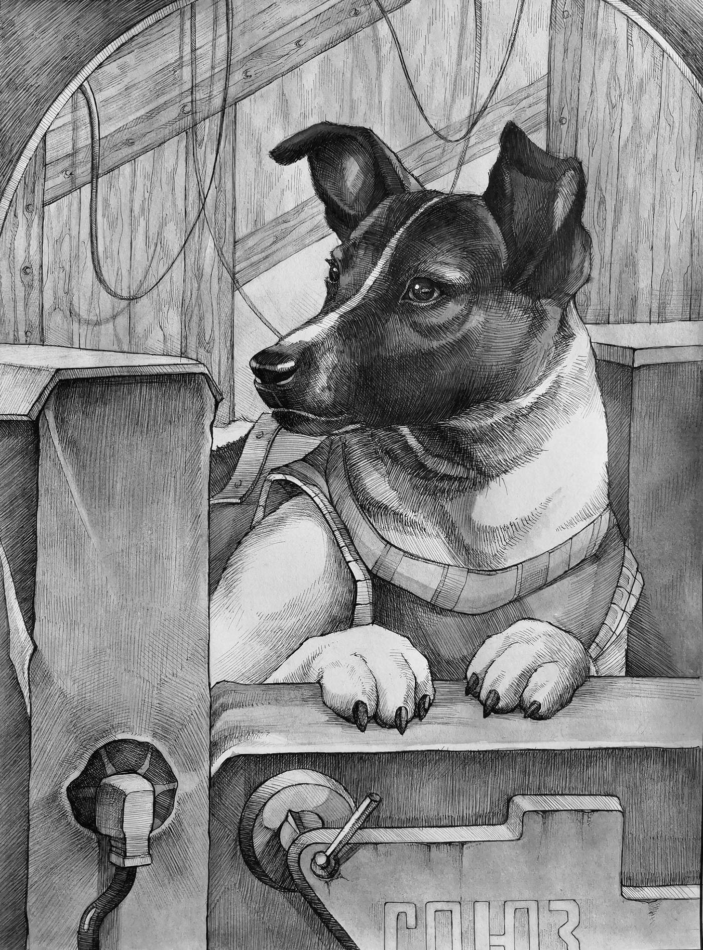 dog Drawing  painting   artwork