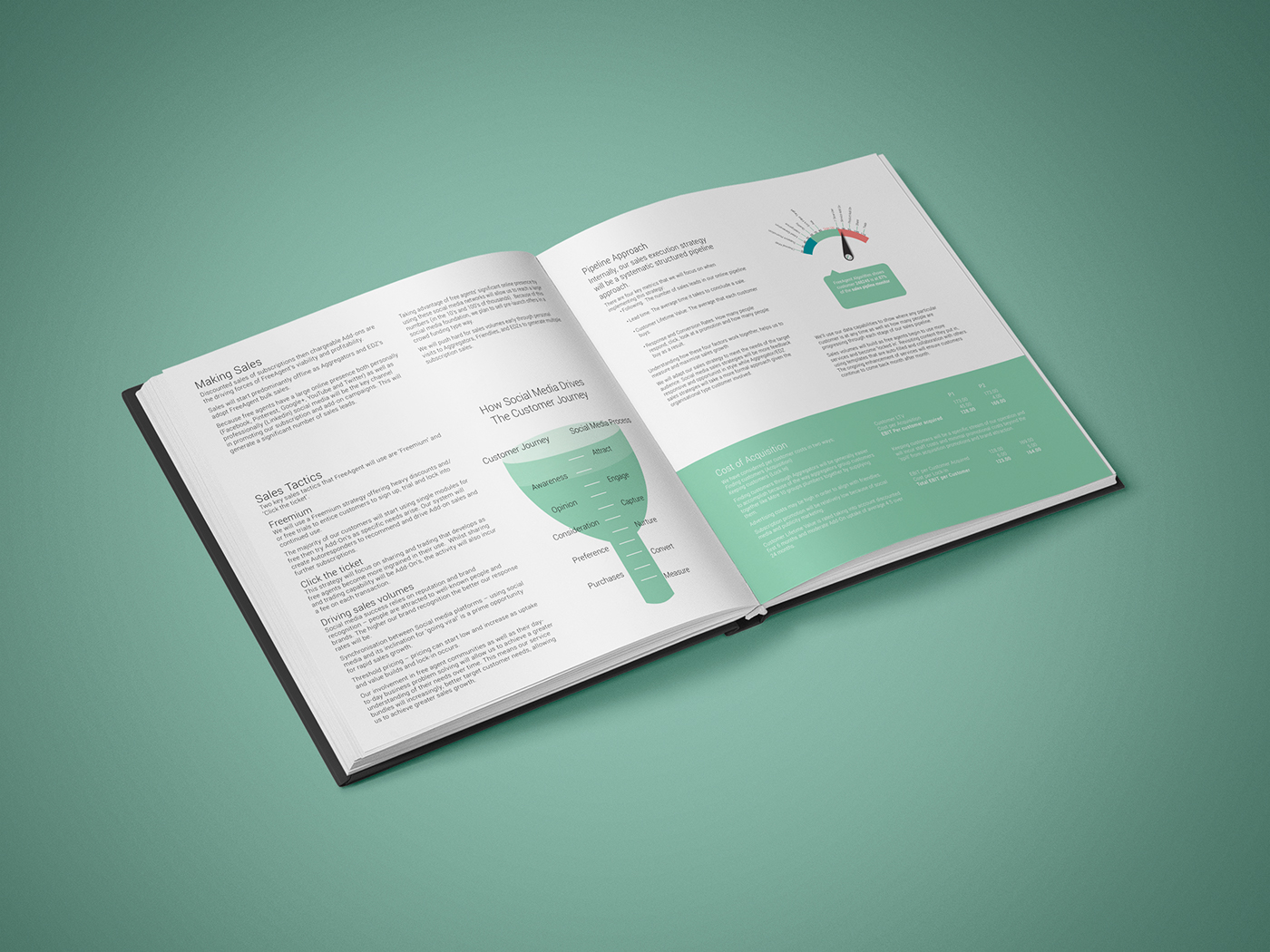 Adobe Portfolio Investor Document print book Booklet Pre Press logo business mint green white space Layout design